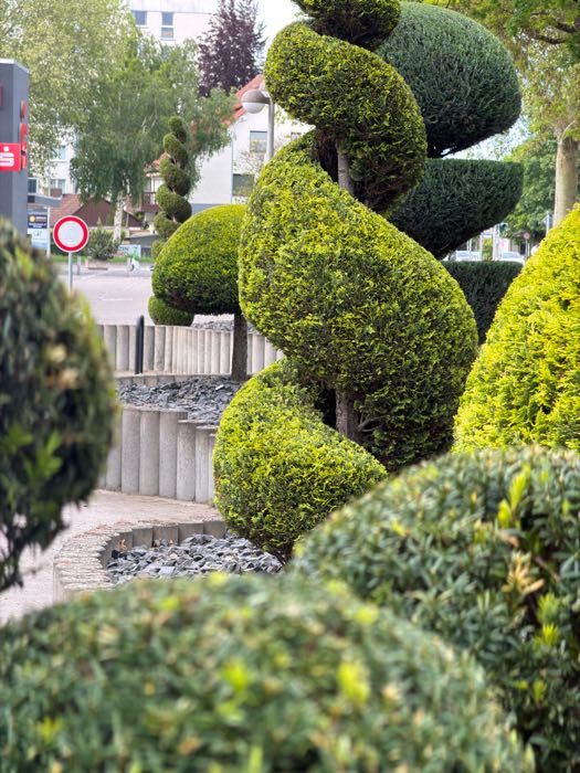 Spiralen und Kugeln nach dem Formschnitt