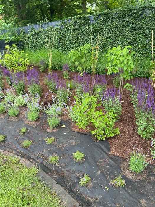 Beete und Mulch fürs Frühjahr